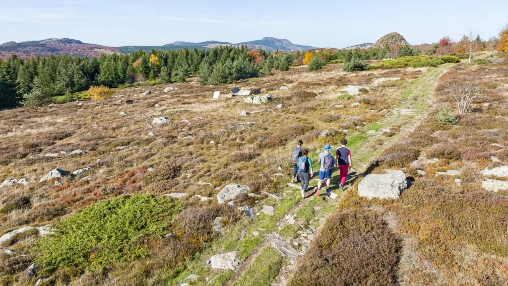 Hiking on the watershed in autumn with the Mont-Gerbier-de-Jonc in the background