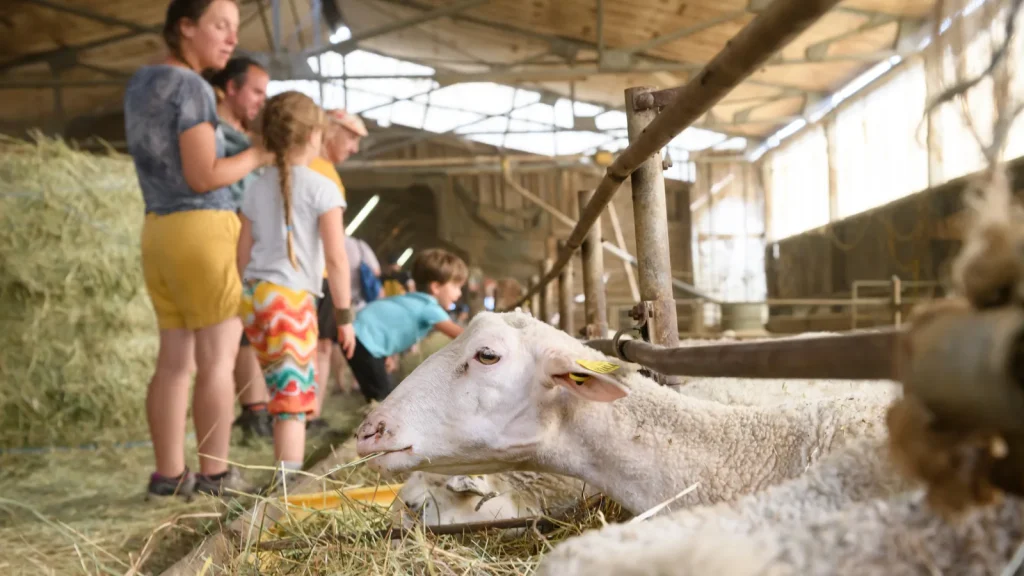 Famille à la ferme des vallées, à Champis