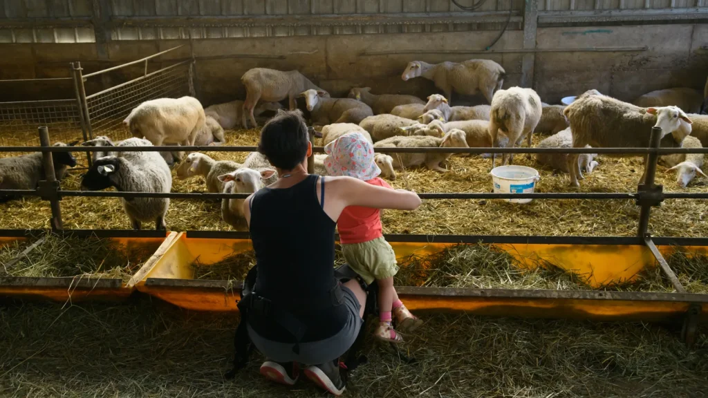 Famille à la ferme des vallées, à Champis