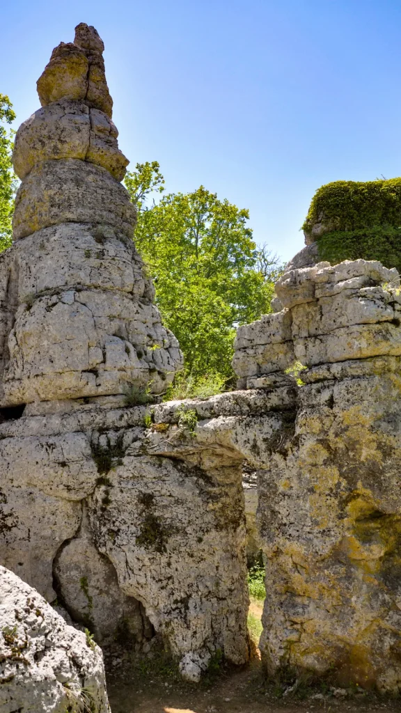 le-bois-de-pa-olive-en-ard-che-du-sud-ard-che-guide