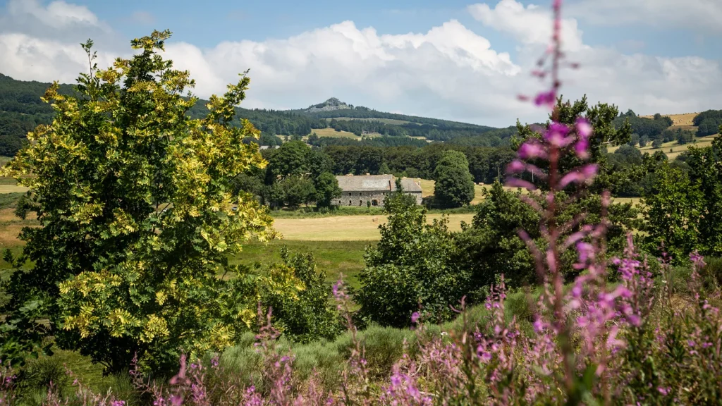 Hébergement à la ferme de Suchasson, en gîte de groupe