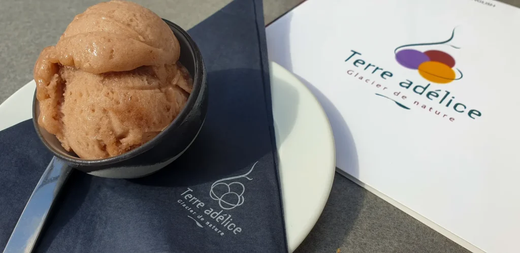 Glace Terre Adélice