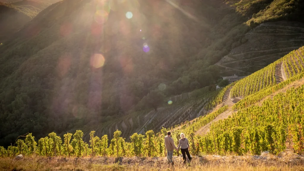 Couple looking at a vineyard, at the beginning of autumn
