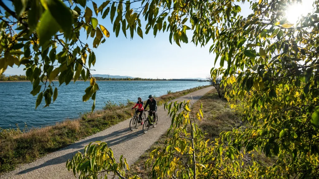 Couple de cyclistes sur la ViaRhona, non loin du village de caractère de Beauchastel, en automne