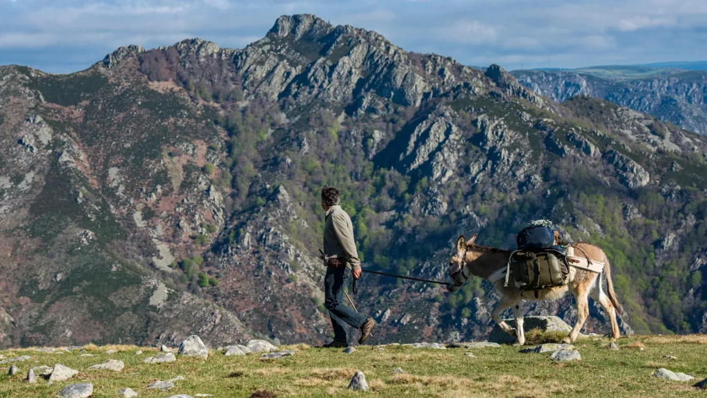 Homme randonnant avec un âne-bâté sur les hauteurs de Valgorge, au tout début du printemps