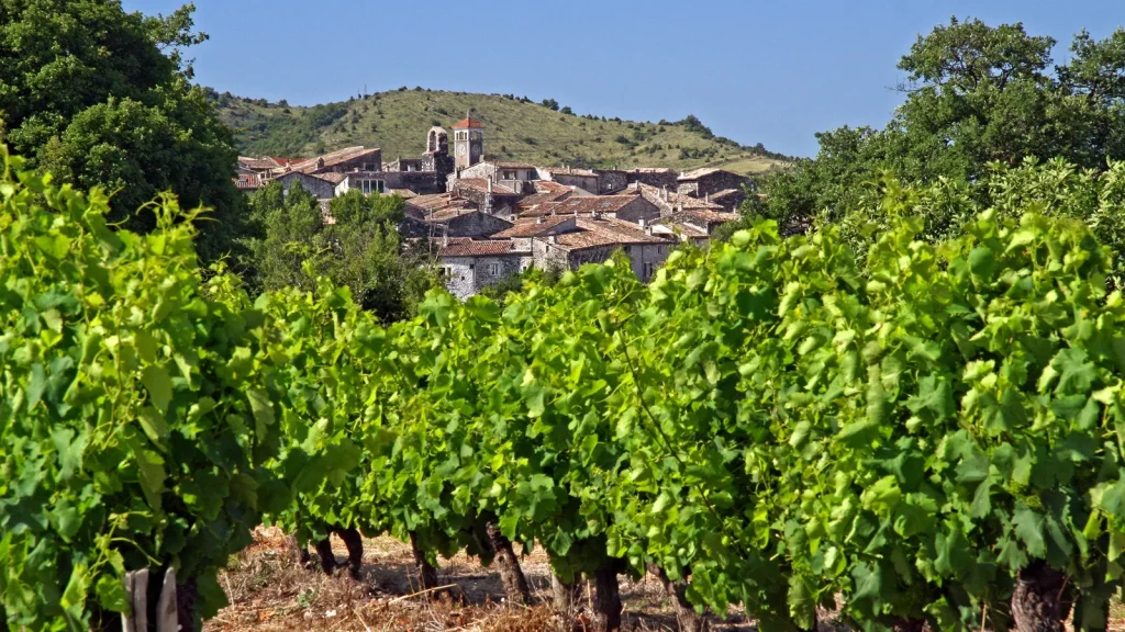 Village de caractère de Alba-la-Romaine derrière le vignoble, en été
