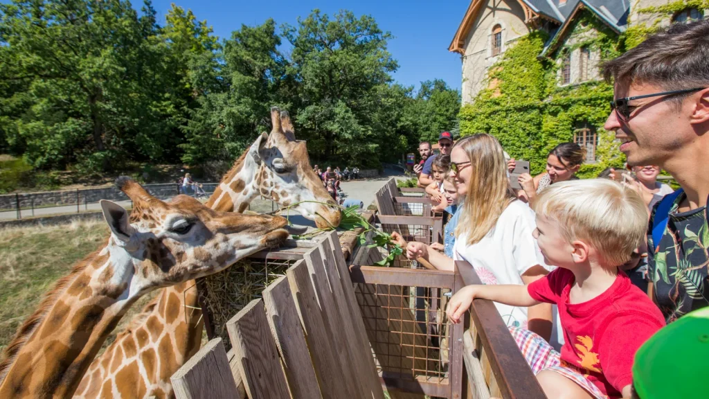Famille au Safari de Peaugres