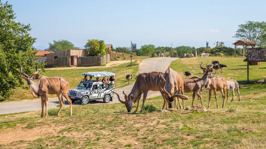 Famille en circuit safari au Safari de Peaugres
