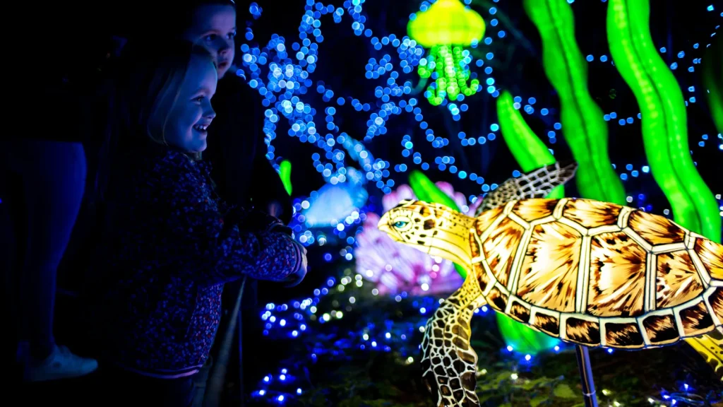 Enfants devant "Lumières sauvages" au Safari de Peaugres