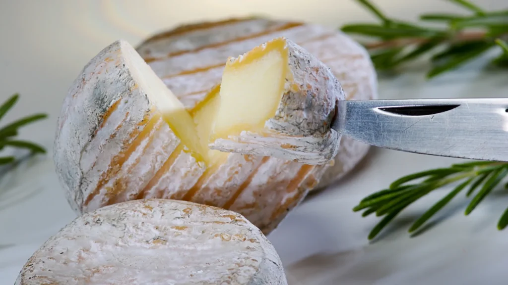 Fromage de chèvre Picodon
