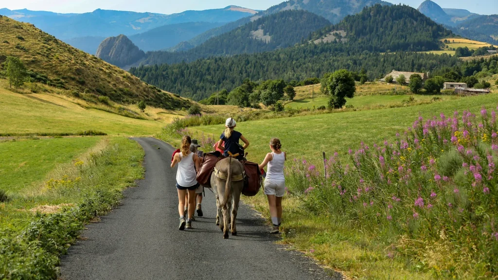 Family hiking with a donkey in the Ardèche mountains, in summer