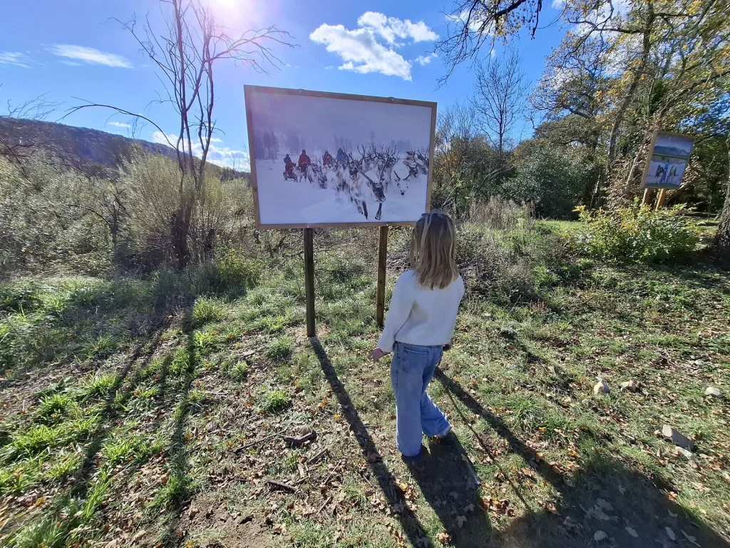 enfant regardant une exposition