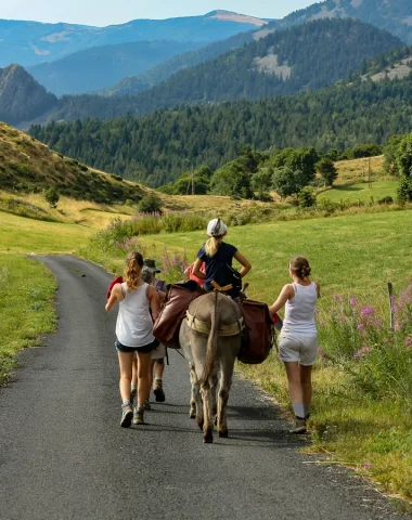 Famille en randonnée avec un âne bâté en montagne ardéchoise, en été
