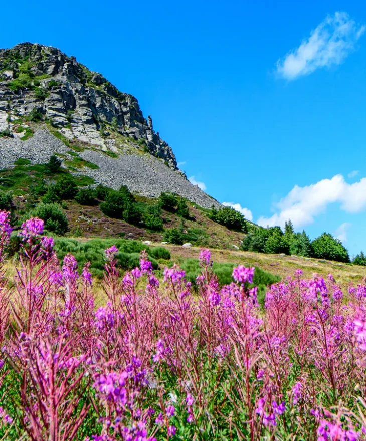 Mont Gerbier de Jonc in summer