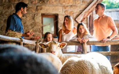 Famille visitant le musée Ardelaine