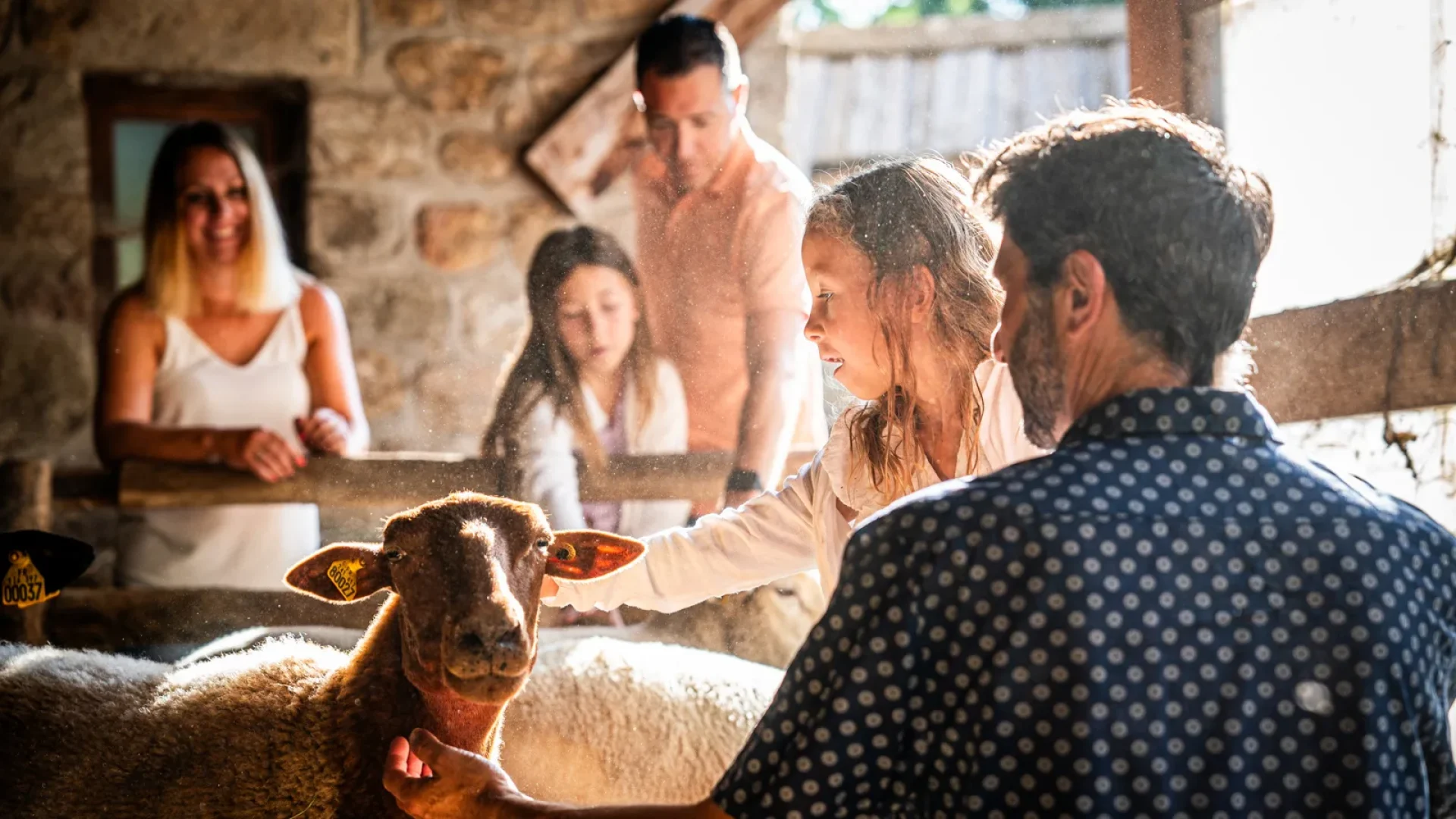 Famille visitant le musée Ardelaine