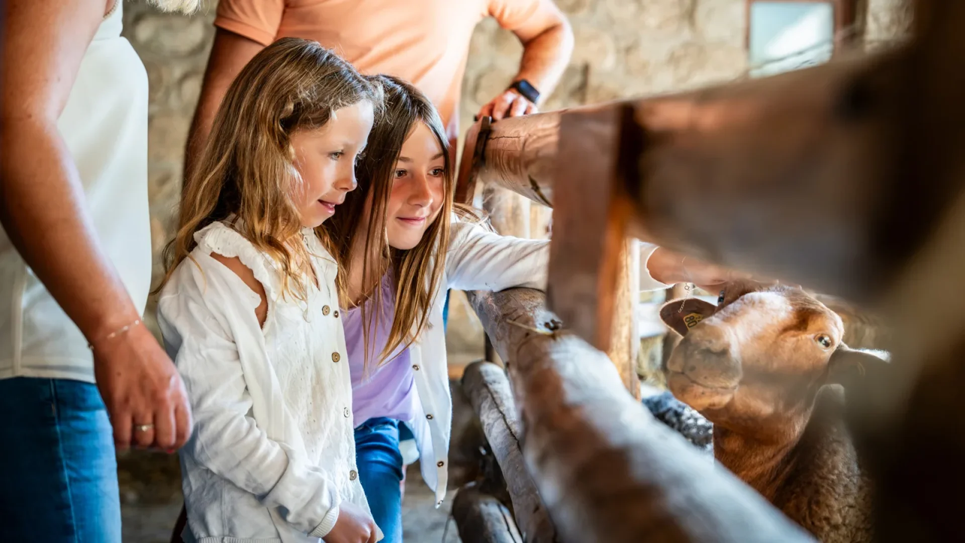 Famille visitant le musée Ardelaine