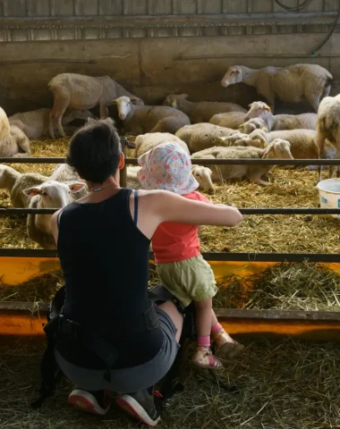 Famille à la ferme des vallées, à Champis