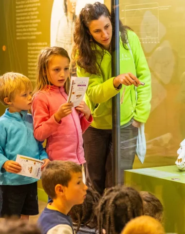Visite guidée à l'Aven Orgnac