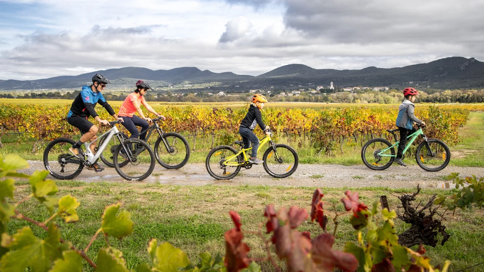 Ardeche_Sud_et_cevennes; Automne; CYCLOTOURISME; Enfant; Famille; VTT; Vignes