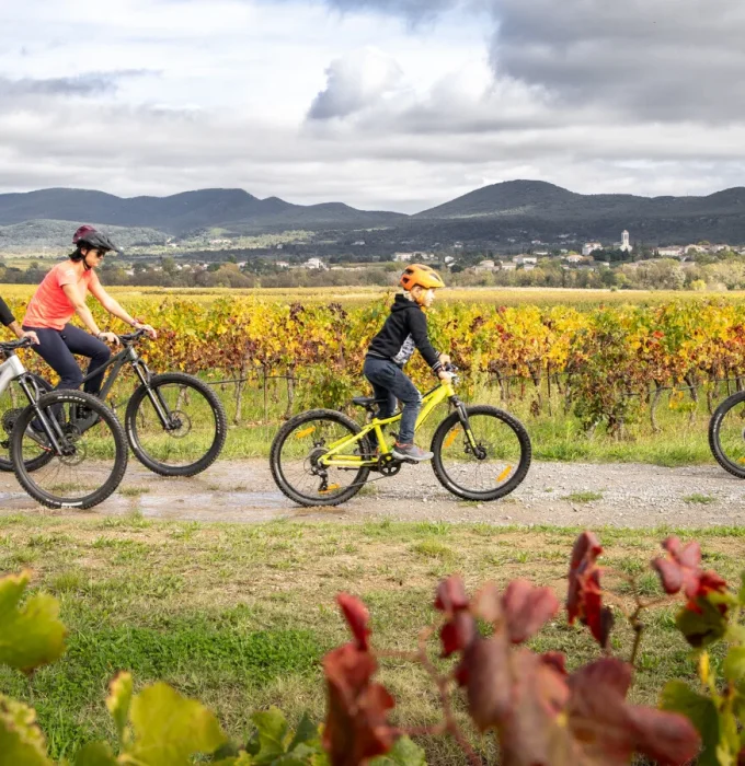 Ardeche_Sud_et_cevennes; Automne; CYCLOTOURISME; Enfant; Famille; VTT; Vignes