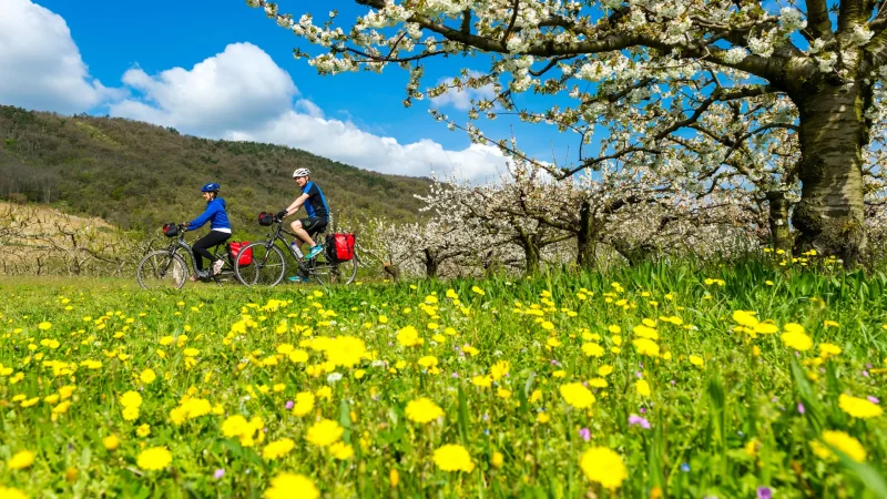 Couple en itinérance à vélo sur la ViaRhôna, au printemps