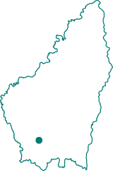 Bois de Paiolive