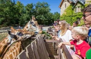 Famille au Safari de Peaugres en été