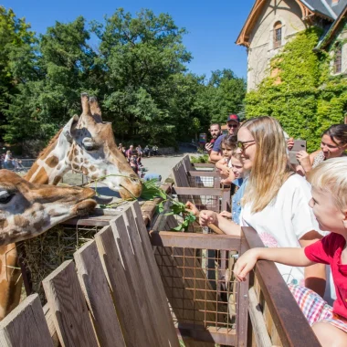 Famille au Safari de Peaugres en été