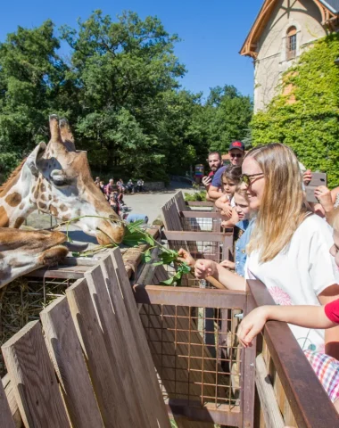 Famille au Safari de Peaugres en été