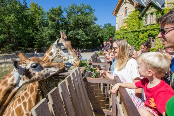Famille au Safari de Peaugres en été