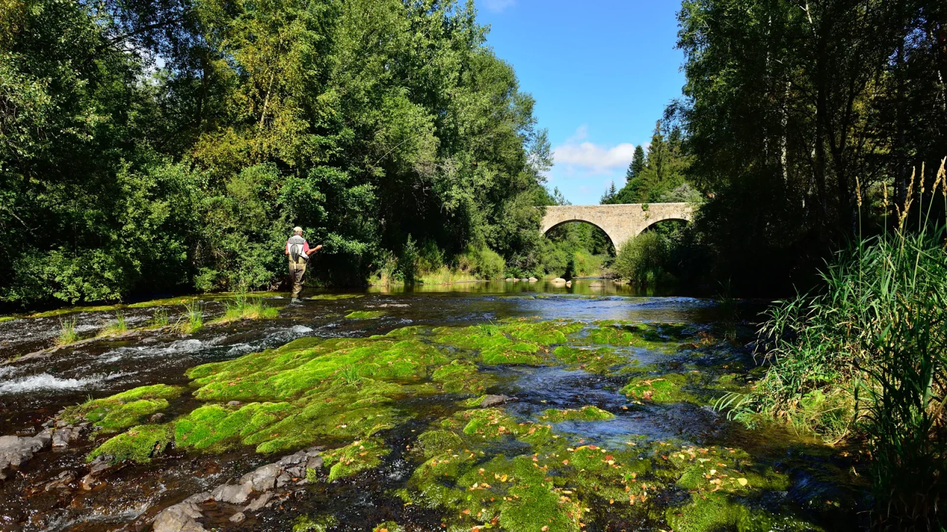 Pêcheur au printemps