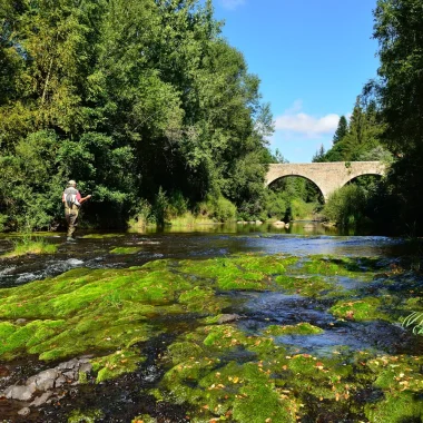 Pêcheur au printemps