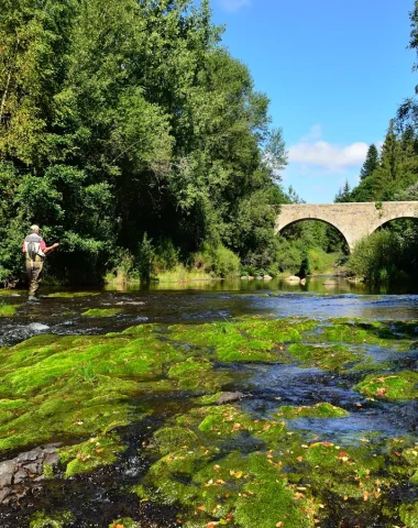 Pêcheur au printemps