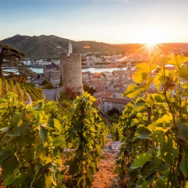 Coucher de soleil sur le vignoble au dessus de Tournon-sur-Rhône