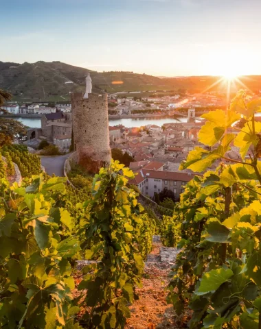 Coucher de soleil sur le vignoble au dessus de Tournon-sur-Rhône