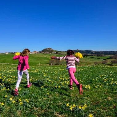 Fillettes courant dans un champ de jonquilles au printemps, à Lachamp-Raphaël
