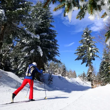 Personne faisant du ski de fond à la chavade au milieu des arbres couverts de neige