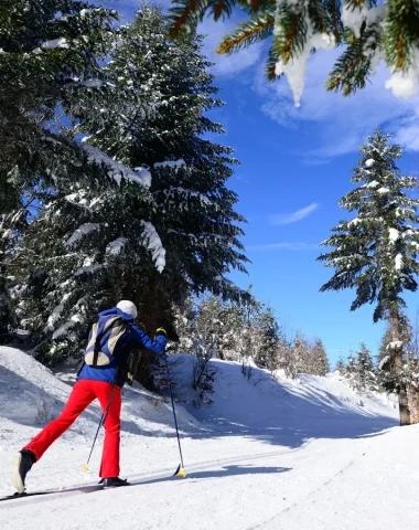 Personne faisant du ski de fond à la chavade au milieu des arbres couverts de neige