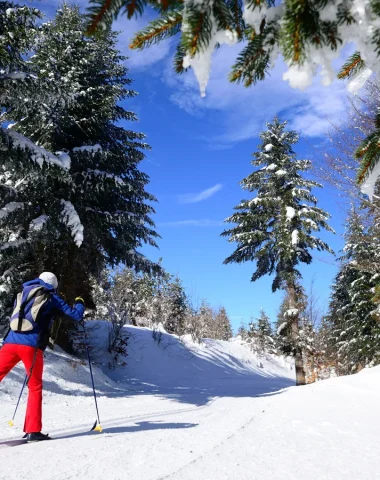Personne faisant du ski de fond à la chavade au milieu des arbres couverts de neige