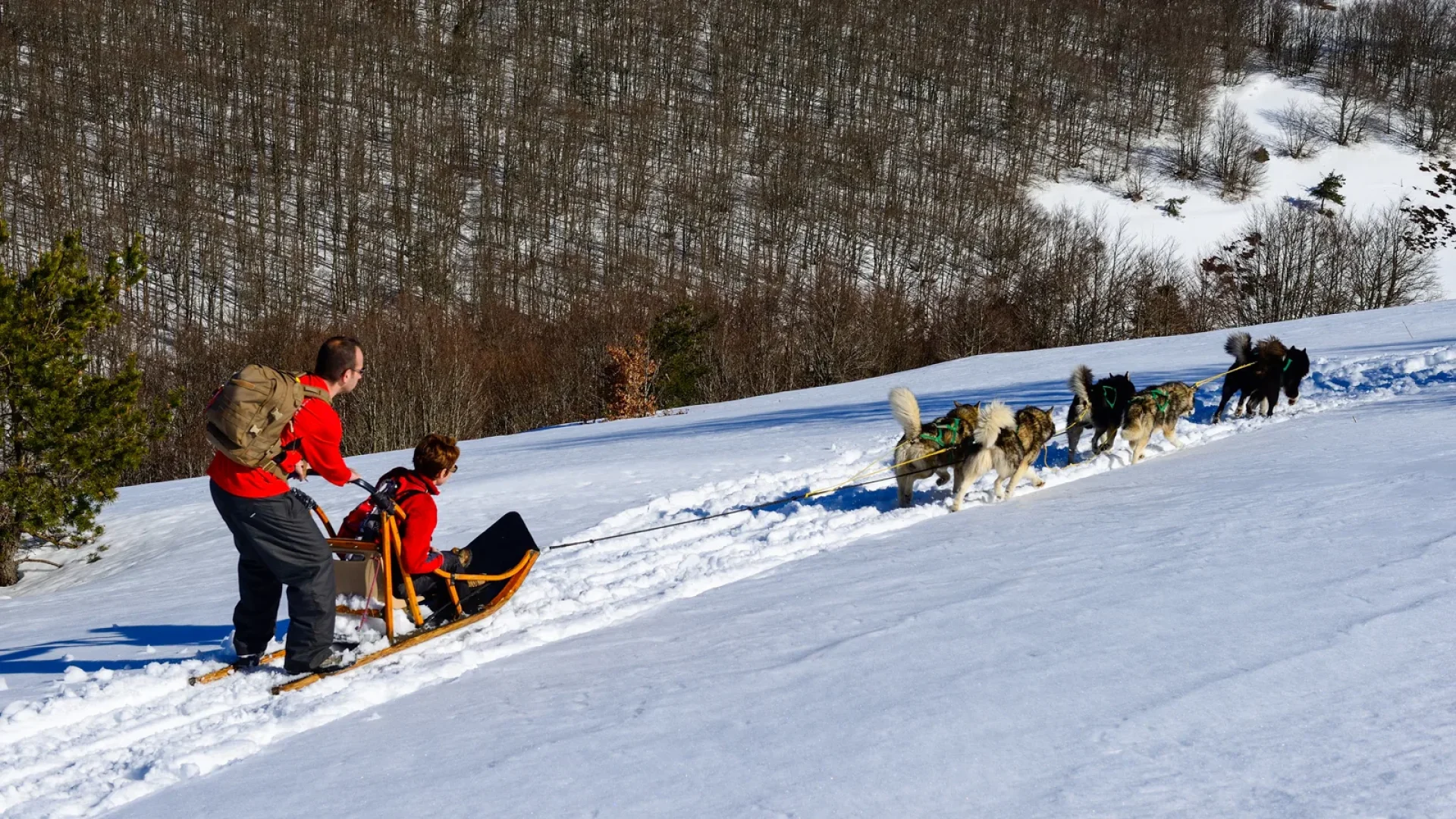 Couple pratiquant l'activité de chien de traineaux à la Chavade dans un paysage couverts de neige.