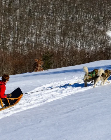 Couple pratiquant l'activité de chien de traineaux à la Chavade dans un paysage couverts de neige.