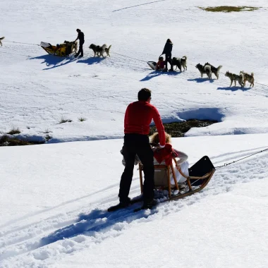 Groupe de personnes pratiquant l'activité de chien de traineaux sur la neige