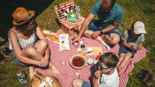 Famille partageant un pique-nique avec des produits 