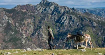 Homme randonnant avec un âne-bâté sur les hauteurs de Valgorge, au tout début du printemps
