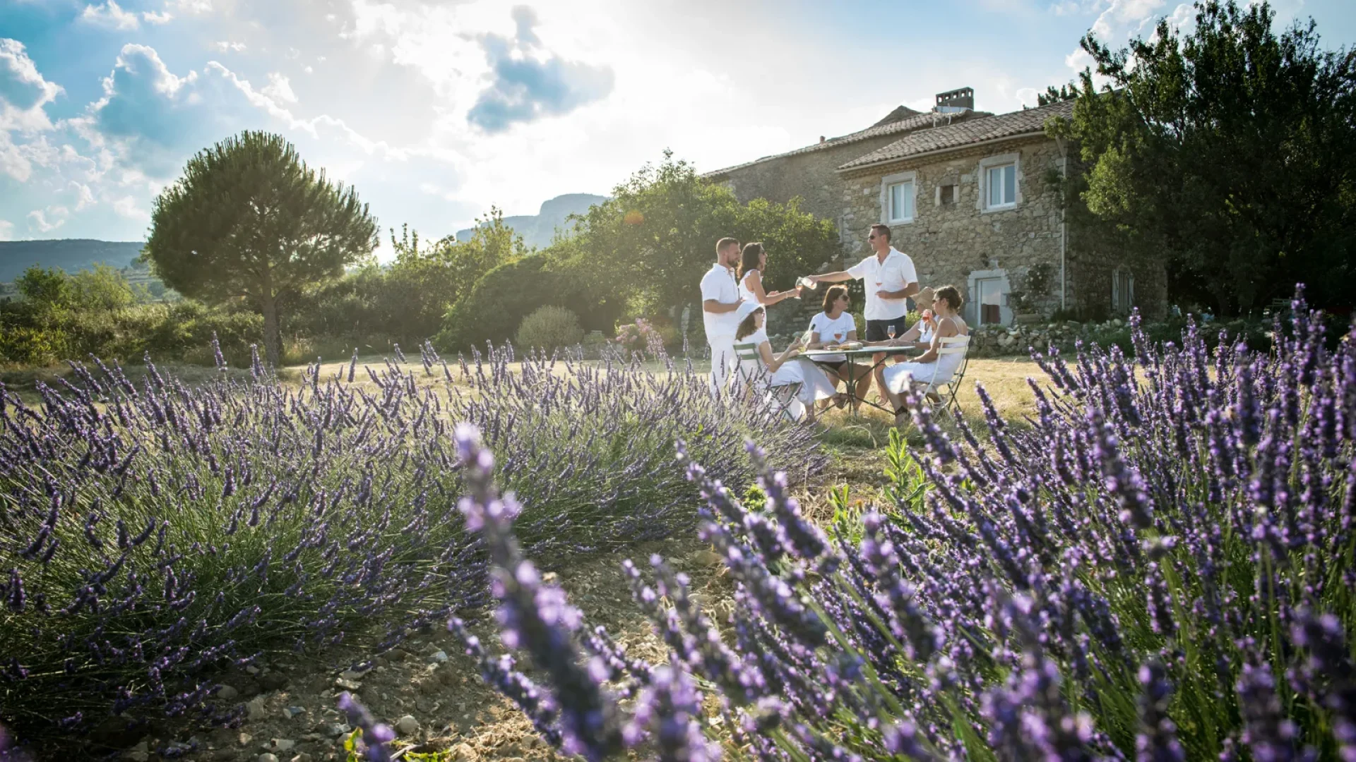 Groupe d'amis prenant l'apéro à l'extérieur de leur gîte, parmi les lavandes