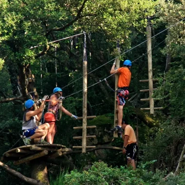 Famille faisant de l'accrobranche, en été