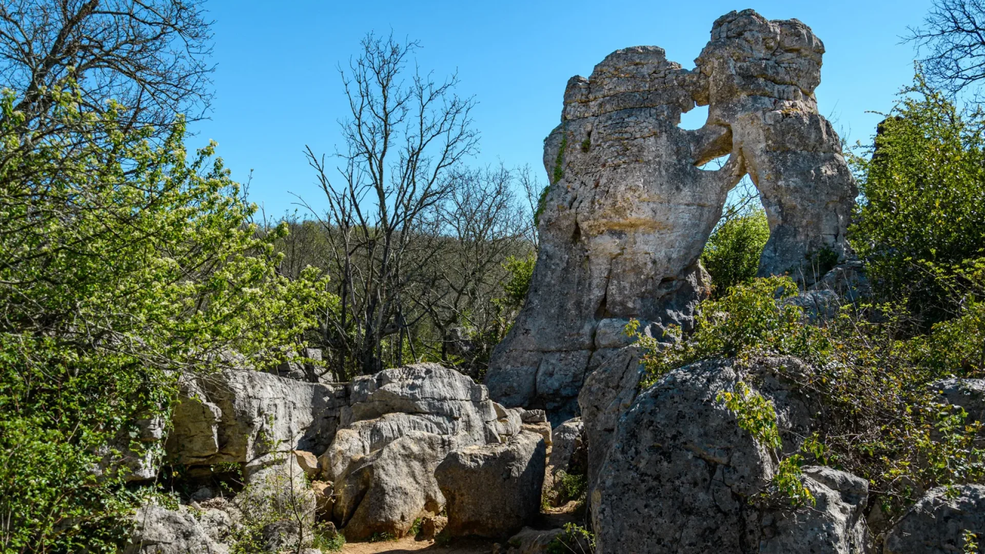 Bois de Païolive "L'ours et le lion" au printemps