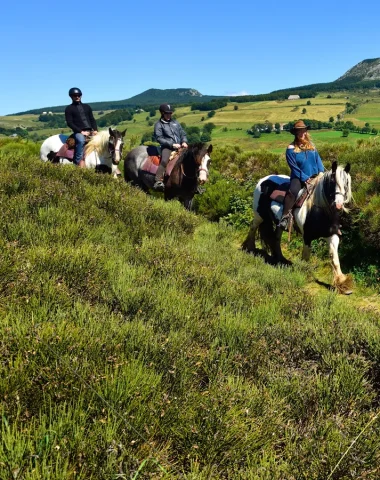 Groupe pratiquant l'équitation en montagne ardéchoise, en été