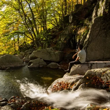 Homme en bord de rivière, contemplant le soleil à travers les branches, en automne.